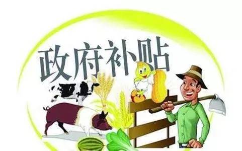 好會計：政府補助